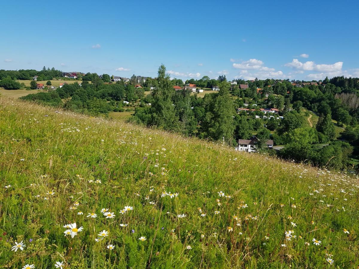 Haus Waldblick Hotel Hohegeiß Eksteriør billede