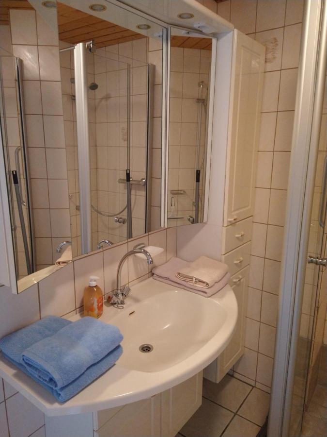 Haus Waldblick Hotel Hohegeiß Eksteriør billede